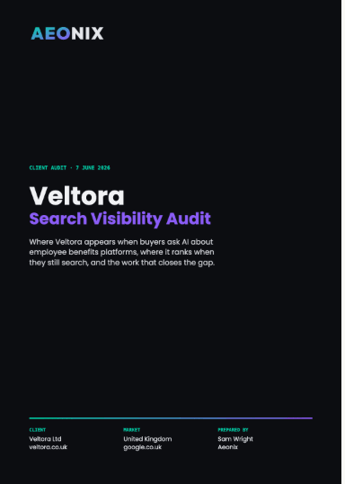 Search Visibility Audit — page 1 preview
