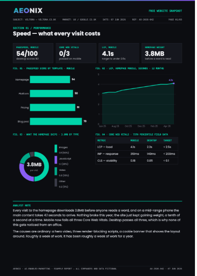 Website Performance & AEO Audit — page 1 preview